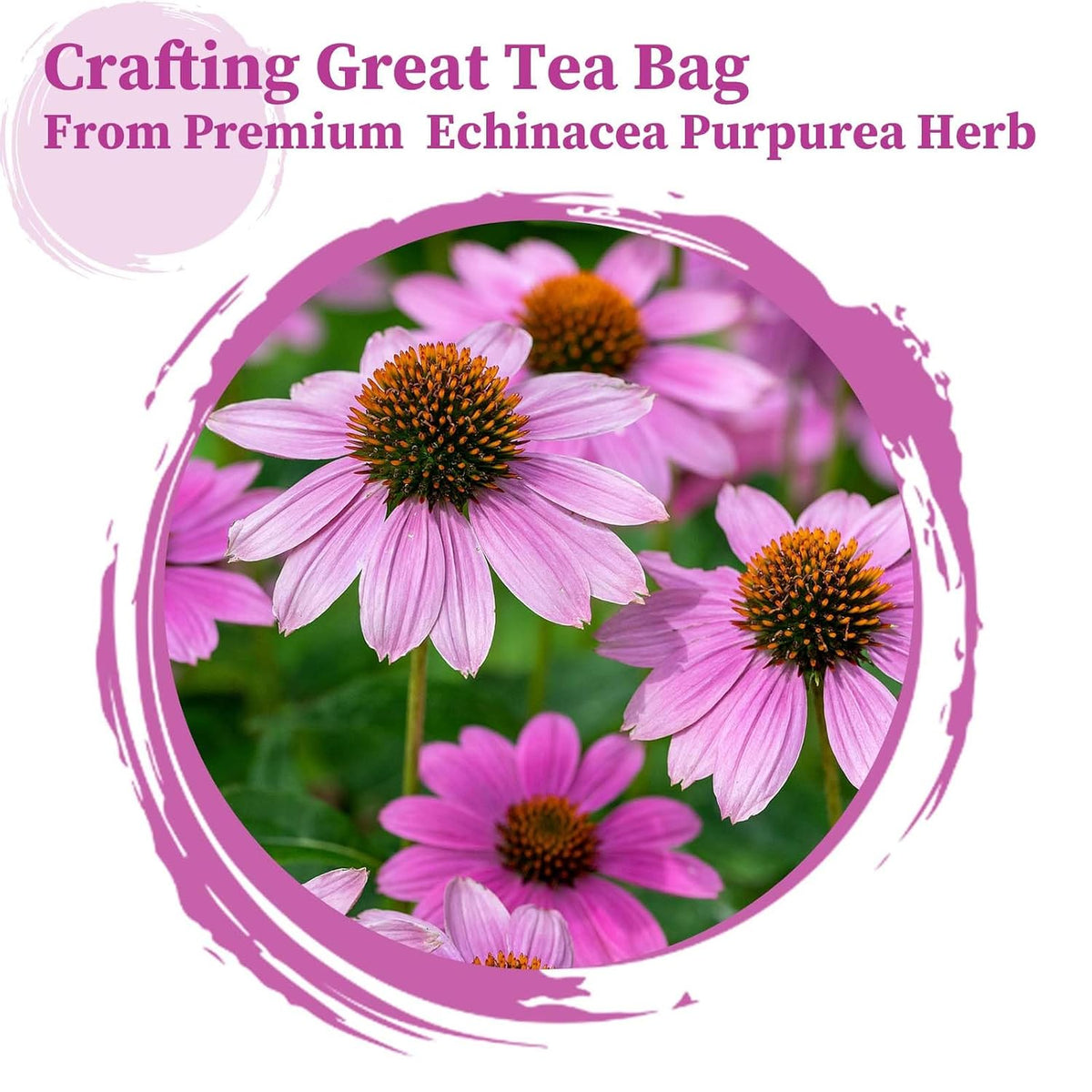FullChea - Echinacea Tea Bags, 50 Count Dried Echinacea Purpurea Tea