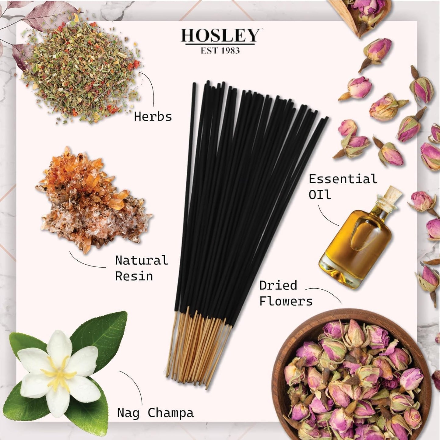 Hosley 320 Assorted Incense Sticks with Holder Eucalyptus, Fresh Bamboo, Lavender, Myrrh, Lavender Chamomile, Vanilla, Citrus, Dragon Blood Idea for Home, Wedding, Spa, Meditation & Aromatherapy
