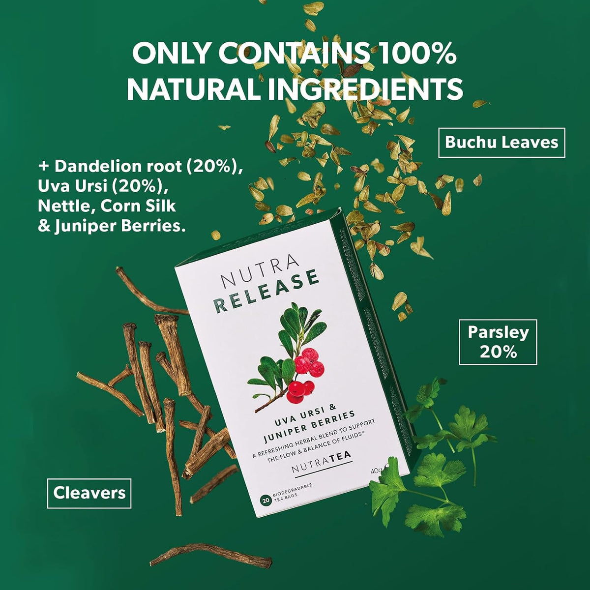 NUTRARELEASE - Kidney Tea | Bloated Stomach Tea – Includes Uva Ursi, Dandelion & Nettle - Assist With Water Retention & Digestion - 20 Enveloped Tea Bags - by Nutra Tea - Herbal Tea