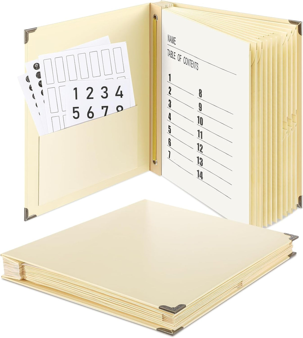 Marspark Important Document Organizer, 14 Pockets with Labels, Black