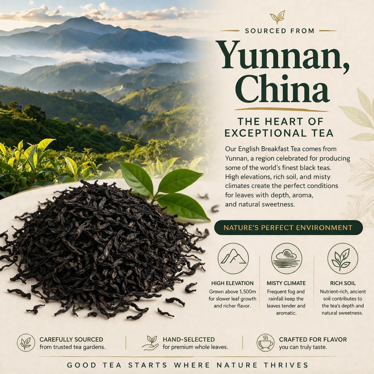 Organic English Breakfast Black Tea – High Mountain Yunnan Whole Leaf Tea – Bold, Smooth & Full-Bodied Morning Tea – 1 lb (454g) Bulk Loose Leaf – USDA Organic – Tealise
