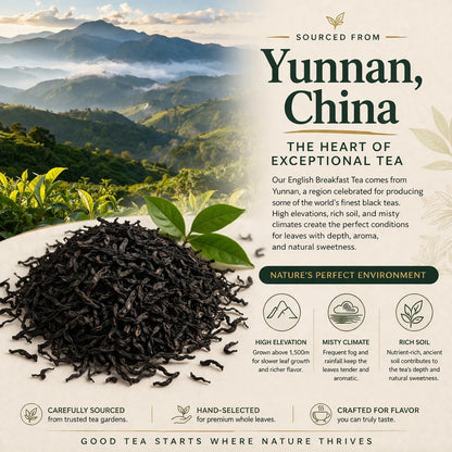 Organic English Breakfast Black Tea – High Mountain Yunnan Whole Leaf Tea – Bold, Smooth & Full-Bodied Morning Tea – 1 lb (454g) Bulk Loose Leaf – USDA Organic – Tealise