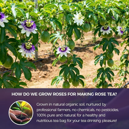 WOTIHA 55 Count Premium Passion Flower Tea Bags - 100% Natural & Pure, Supports Relaxation & Better Sleep, Non-GMO Caffeine-Free, Additive-Free, Sugar-Free, Vegan.