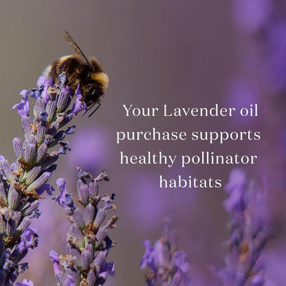 Lavender Essential Oil by Young Living, 15 Milliliters, Topical and Aromatic Use