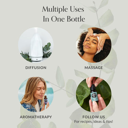 Edens Garden Top Essential Oil Blends Sampler 18 Set – 100% Pure Therapeutic Grade, Natural, Undiluted Aromatherapy Scents for Diffusers & Humidifiers – Wellness Gift for Men & Women, .92 ml/ 18 Pack