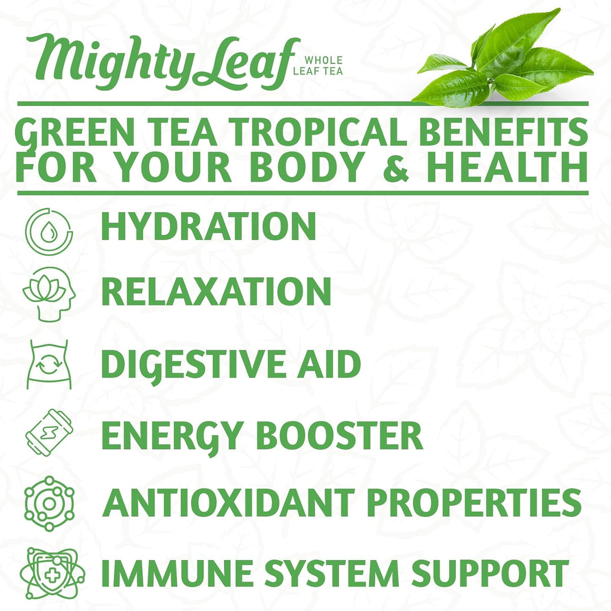 Mighty Leaf Green Tea Tropical – 100 Count Whole Leaf Green Tea Bags – Pyramid Sachets with Pineapple, Tropical Fruit & Floral Flavors – Antioxidant-Rich, Lightly Caffeinated