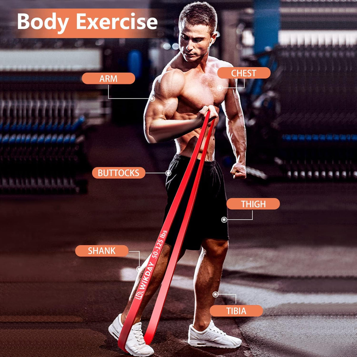 WIKDAY Resistance Bands for Working Out, Exercise Bands, Workout Bands, Pull Up Assistance Bands for Body Stretching Training Physical Therapy Muscle Training for Men & Women