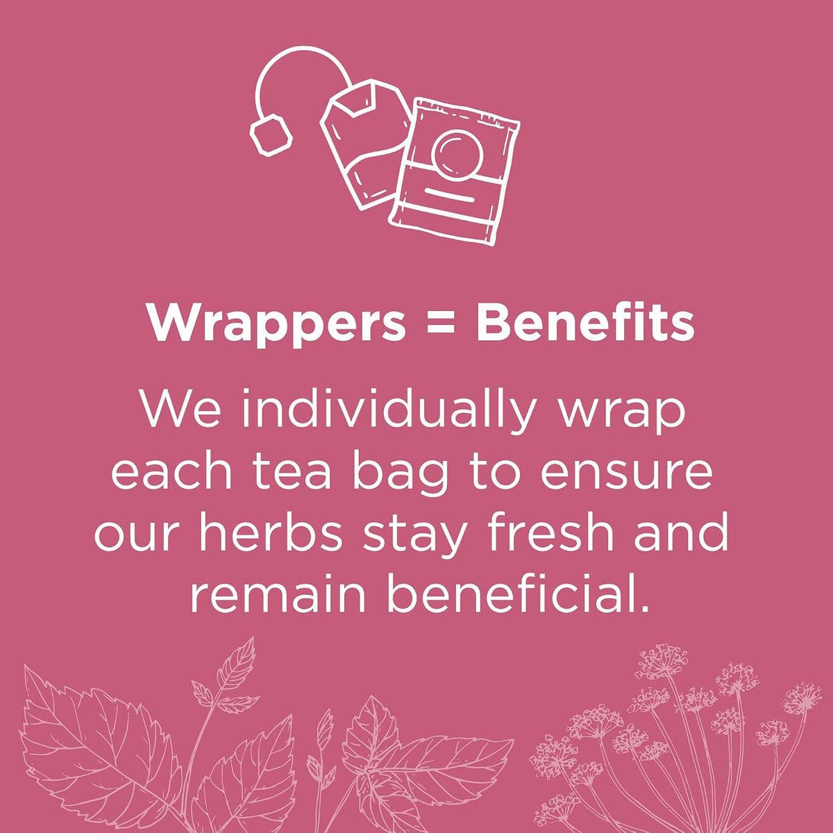 Traditional Medicinals Organic Raspberry Leaf, 48 Tea Bags
