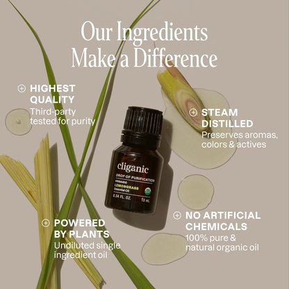 Cliganic Organic Lavender Essential Oil - 100% Pure Natural Undiluted, for Aromatherapy Diffuser | Non-GMO Verified - Colors A