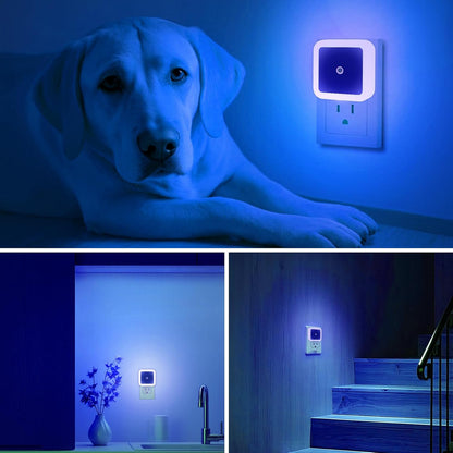 KINUR 6 Pack Night Light, LED Night Lights Plug into Wall with Dusk to Dawn sensors, Plug in Night Lights for Kids Room, Bedroom, Bathroom, Baby Nursery,Stair Lights, Hallway Light, Amber Color