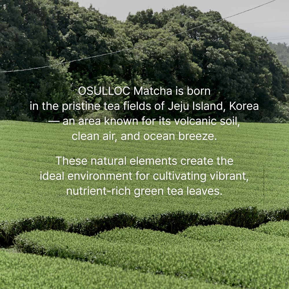 OSULLOC Jeju Matcha Milk Tea Powder Stick Packets, 10 Count