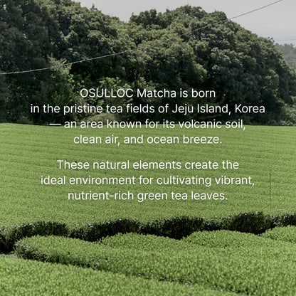 OSULLOC Jeju Matcha Milk Tea Powder Stick Packets, 10 Count