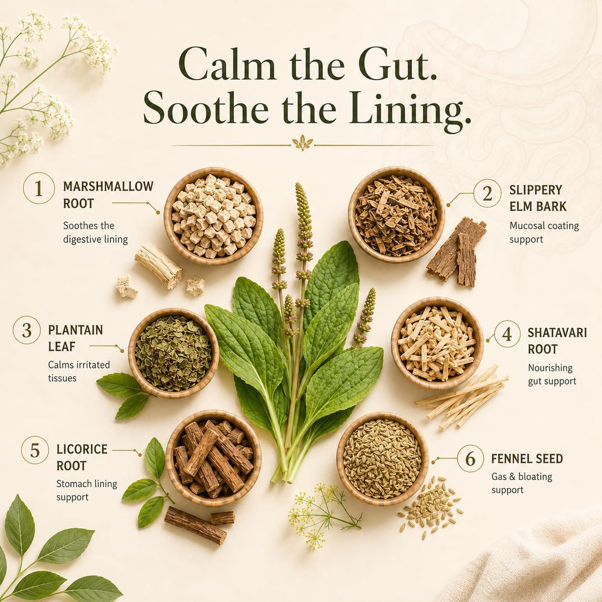 SOOTHING GUT TEA - Slippery Elm, Marshmallow Root, Fennel - Protects the stomach lining & builds the intestinal mucous for happy intestine - Organic Loose Leaf formulated by master herbalist Khabir