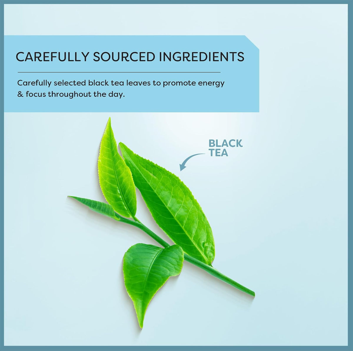 Wissotzky English Breakfast Black Tea (6 Pack - 120 Tea Bags) | Robust & Invigorating Tea | Antioxidant Rich | Energizing Black Tea Bags