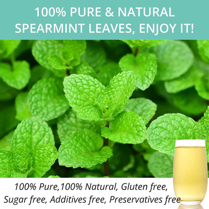 60 Lemon Balm Tea Bags - VitalForest Dried Lemon Balm Leaves Tea -1.5g/Bags, Calming Herb, Stress Relief & Sleep Support, Non-GMO, Caffeine-Free