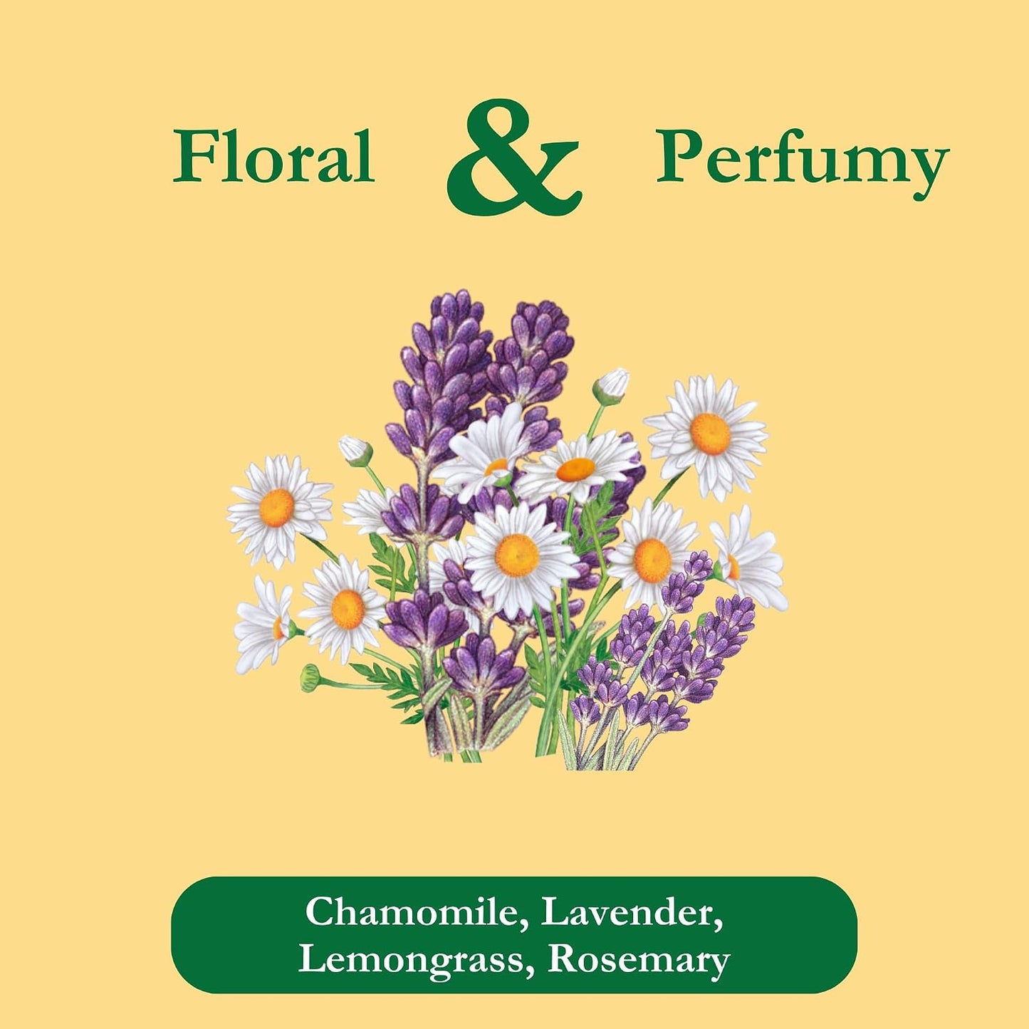 Tadin Organic Chamomile Lavender Tea, Caffeine Free Herbal Tea to Promote Serenity, 20 Tea Bags Per Box, Pack of 6