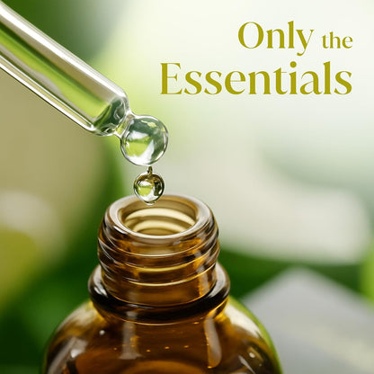 Siva Lavender Essential Oil, Huge Bottle, Large Size, 16 Fl Oz (473 ml)