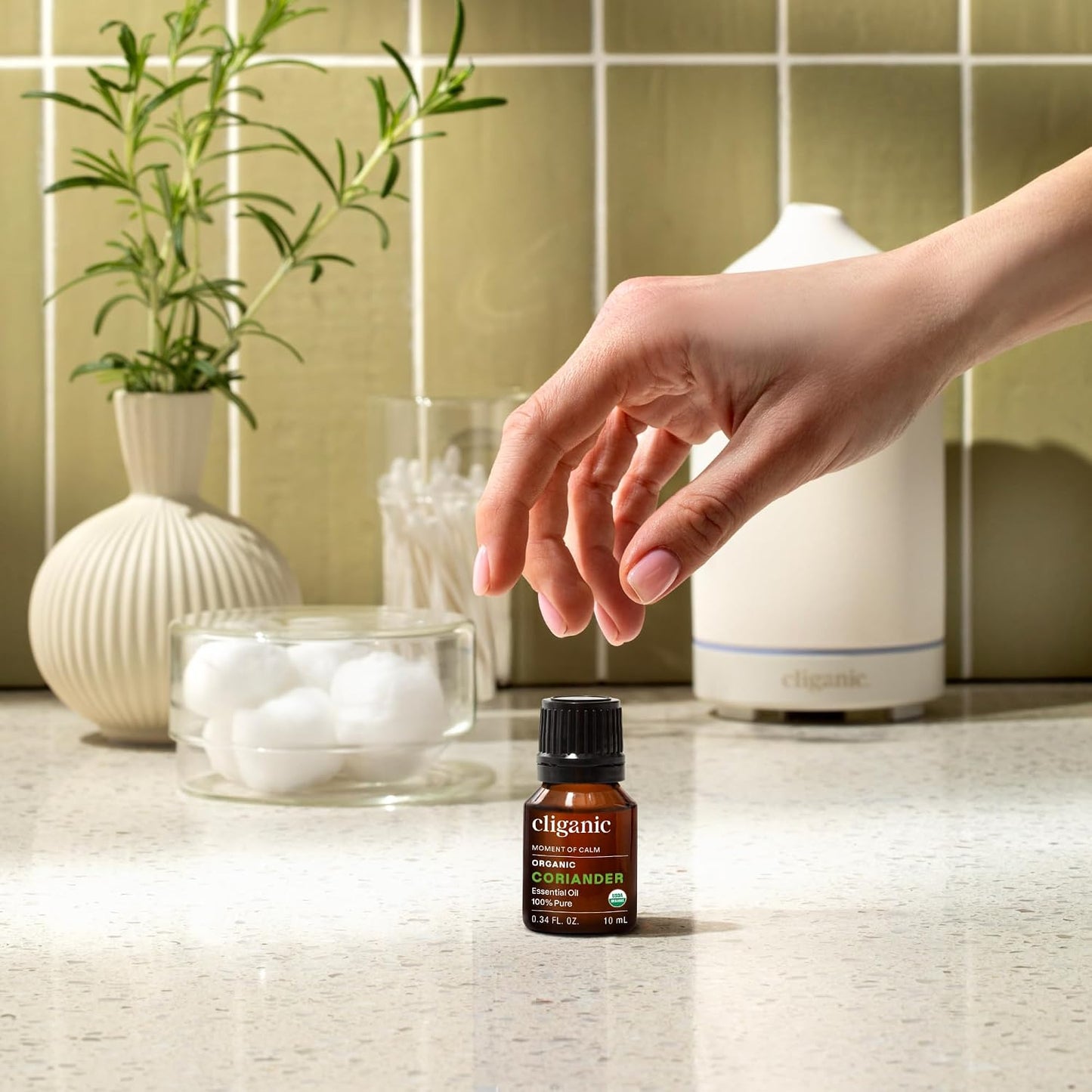 Cliganic Organic Lavender Essential Oil - 100% Pure Natural Undiluted, for Aromatherapy Diffuser | Non-GMO Verified - Colors A