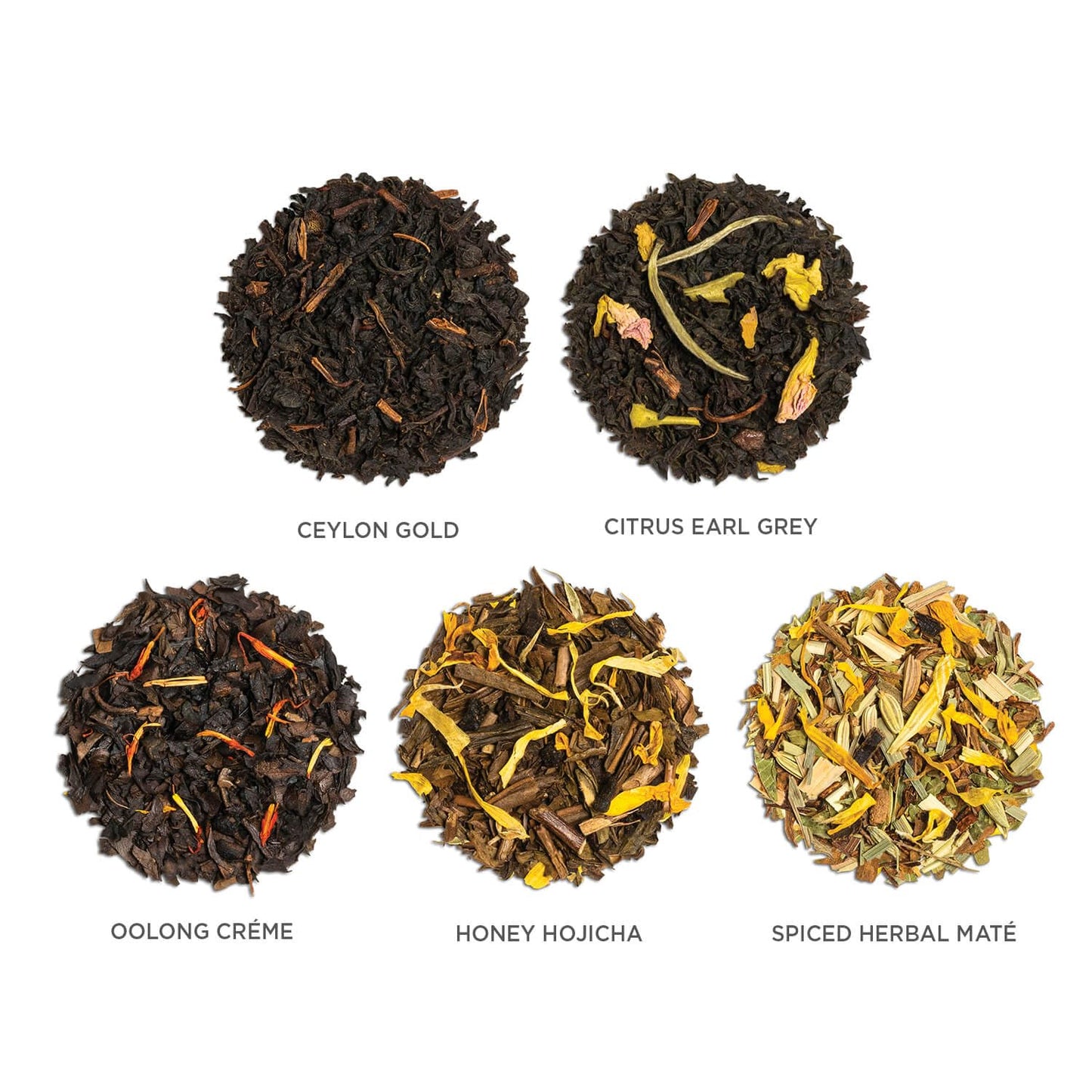 Tea Forte Premium Petite Presentation Box Gift Set Sampler, 10 Count, 2 of Each Blend Individually Wrapped Handcrafted Pyramid Infuser Bags, Demoiselle Tea