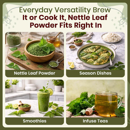 Organic Way Nettle Leaf Powder - Herbal Tea - 100% Raw from Albania (8 Oz)
