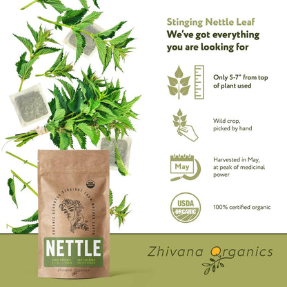 Nettle Tea Organic (100 Tea Bags) - Te de Ortiga - Digestion, Fluid Balance