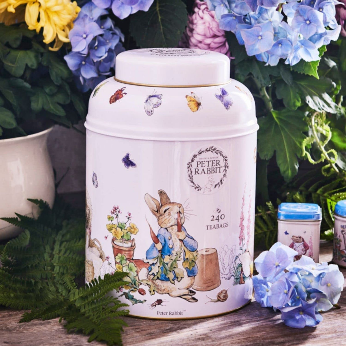 New English Teas Beatrix Potter Peter Rabbit Tea Caddy with 240 English Breakfast Teabags
