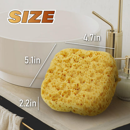 myHomeBody Bath Sponge, Foam Loofah, Body Scrubber for Bathing, Exfoliating Shower Pouf for Shower – Large Size, Lots of Lather, Curvy, 3 Pack