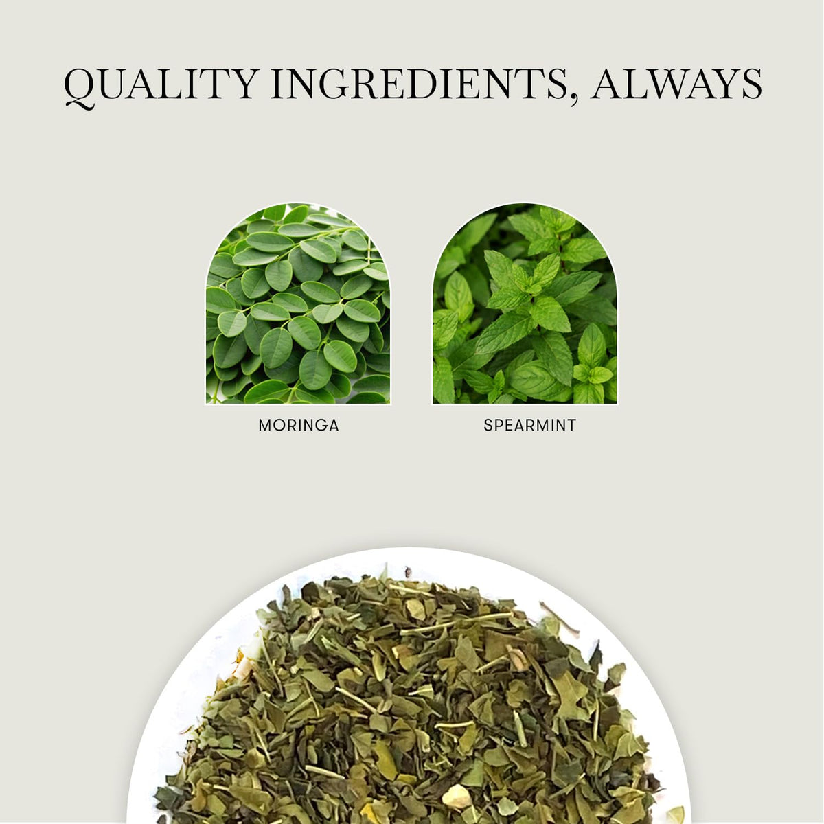 Luxmi Estates Moringa Mint Herbal Tea, 50 Biodegradable Pyramid Tea Bags (100g, 3.5oz) | USDA Organic Moringa Oleifera Leaf with Spearmint | Caffeine-Free Superfood Infusion, Vegan & Non-GMO Bulk Pack