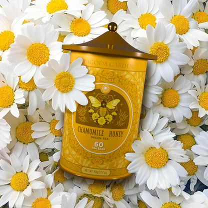 Life Plus Style Gourmet Pagoda Garden Chamomile Lavender Herbal Tea Caffeine Free Hot or Iced Floral Blend Natural Delicious Sleep Tea 60 Tea Bags