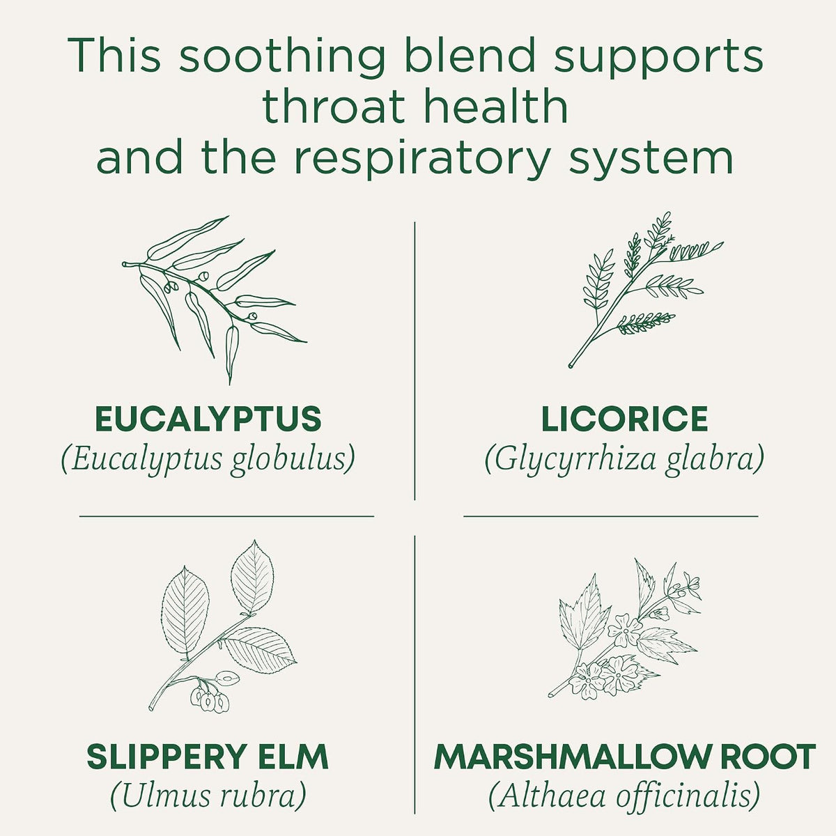 Traditional Medicinals Organic Throat Coat Eucalyptus, 16 Tea Bags