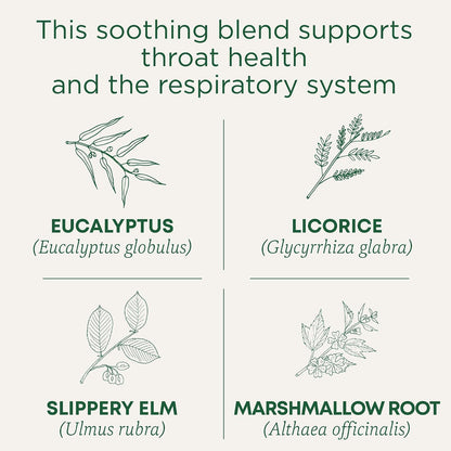 Traditional Medicinals Organic Throat Coat Eucalyptus, 16 Tea Bags