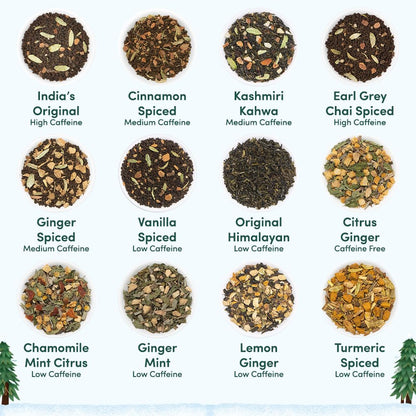 VAHDAM Assorted Green Tea Loose Leaf Tea Gift Set (10 Flavors) | Loose Leaf Green Tea Collection | Includes Himalayan Green Tea Varieties | Packed in Resealable Ziplock Pouches