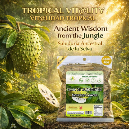 Guanábana Hojas (Soursop Leaves Tea) – Jumbo 4 oz – 100% Natural, Vegan, Non-GMO, Wildcrafted & Authentic – Caffeine-Free Herbal Tea – Makes 30+ Cups