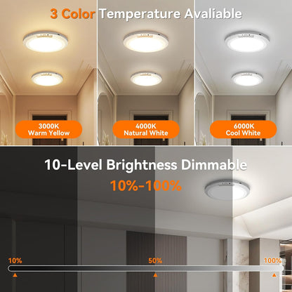 Rechargeable Ceiling Light with Remote, 10000mAh