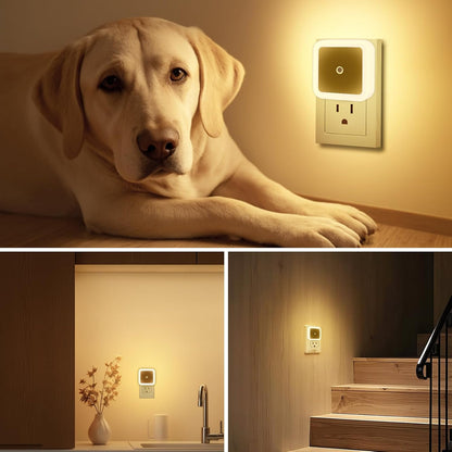 KINUR 6 Pack Night Light, LED Night Lights Plug into Wall with Dusk to Dawn sensors, Plug in Night Lights for Kids Room, Bedroom, Bathroom, Baby Nursery,Stair Lights, Hallway Light, Amber Color