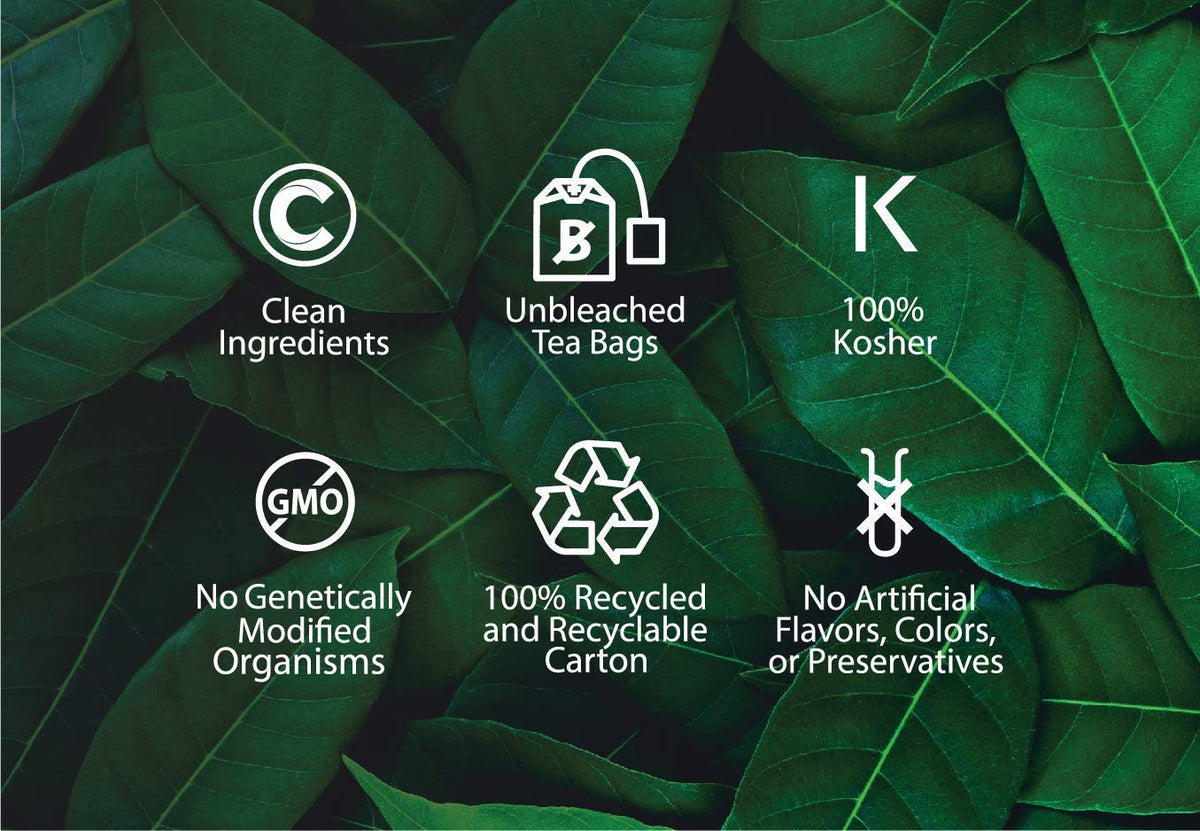 Buddha Teas Organic Eucalyptus Leaf Tea - Herbal Tea, Caffeine Free
