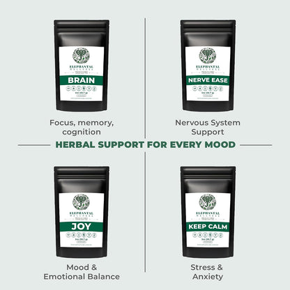 Elephantal Wellness Premium Brain Herbal Tea | Nootropic Focus & Mental Clarity with Ginkgo, Bacopa, Gotu Kola & Rosemary | Non-GMO, Caffeine-Free Coffee Alternative, Handmade Loose Leaf Blend, 2oz Loose Leaf, 20 Servings