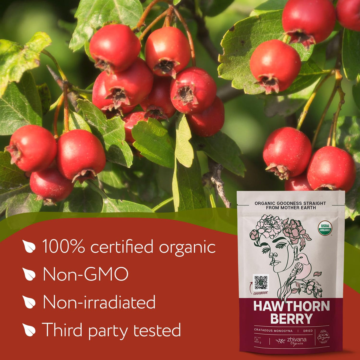 Hawthorn Berry Tea Organic (16 oz) – Support Heart Health, Pressure Balance
