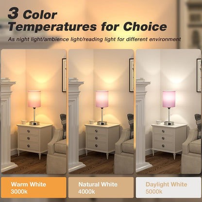 Small Bedside Table lamp for Bedroom - 3 Color Temperatures Bedside Lamps with USB C and A Ports, Pull Chain Table Lamps with AC Outlet, White Nightstand Lamps with Black Metal Base for Kids Reading