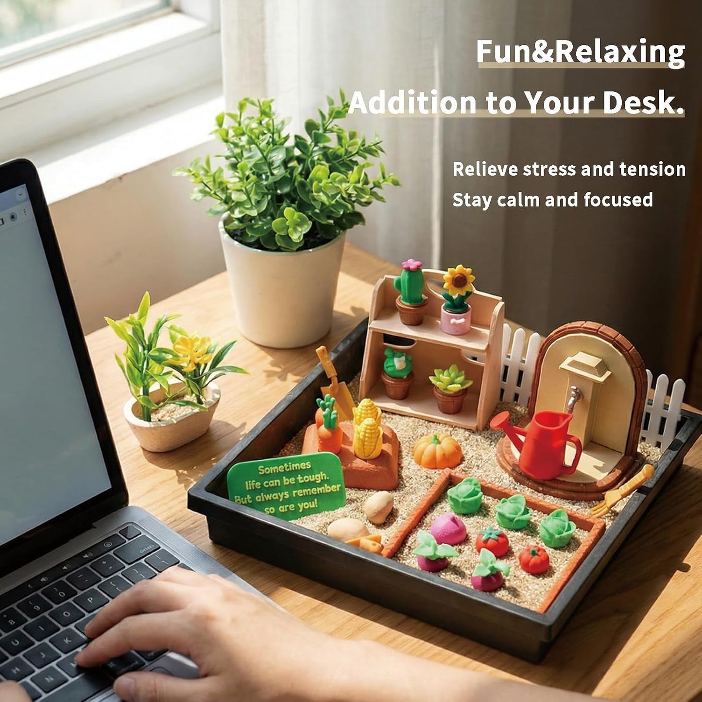 Tian Zhun Gardening Gifts for Women Mini Zen Garden for Desk Plant Lover Gifts Funny Sand Tray Therapy Kit Sand Included