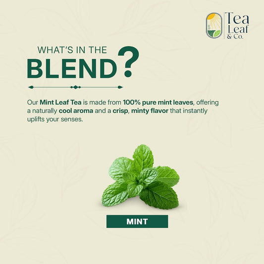 Pure Mint Herbal Tea (200 gm/7 oz), Natural Herbal Infusion, 100 Tea Bags