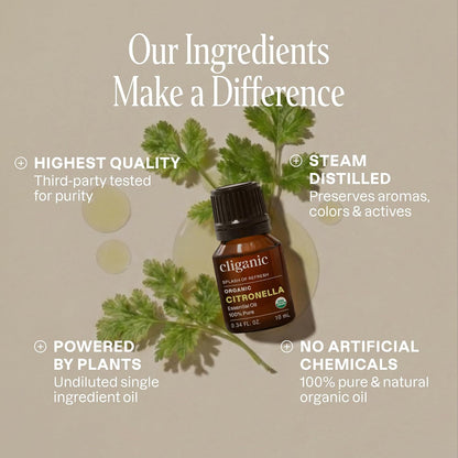 Cliganic Organic Lavender Essential Oil - 100% Pure Natural Undiluted, for Aromatherapy Diffuser | Non-GMO Verified - Colors A