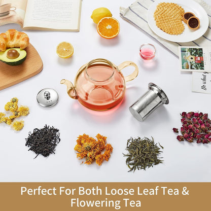 Glass Teapot with Removable Infuser, 20 oz/600ml Glass Tea Pot Small Borosilicate Tea Steeper Kettle with Loose Leaf Tea Strainer For Flower Blooming Tea, ClearTea Maker Pitcher