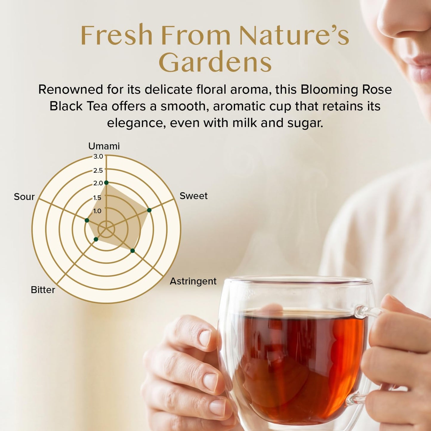 VAHDAM, Turmeric Ginger Herbal Tea (50+ Cups, 3.53oz) Caffeine Free | 100% Pure Herbal Blend - Savory & Spicy | Vacuum Sealed | Direct from Source