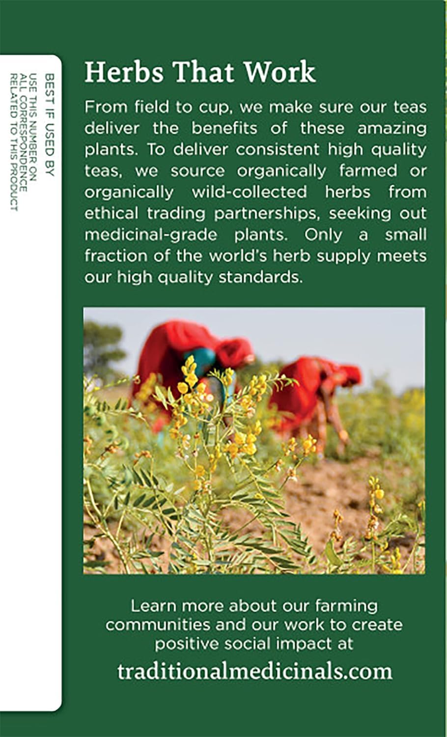 Traditional Medicinals Fennel Herbal Tea Organic, 16 CT, (Pack of 6)