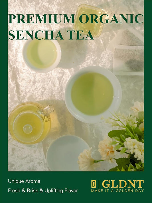 GLDNT Organic Sencha Tea Bags, Pure Sencha Green Tea, Smooth Flavor, 100ct
