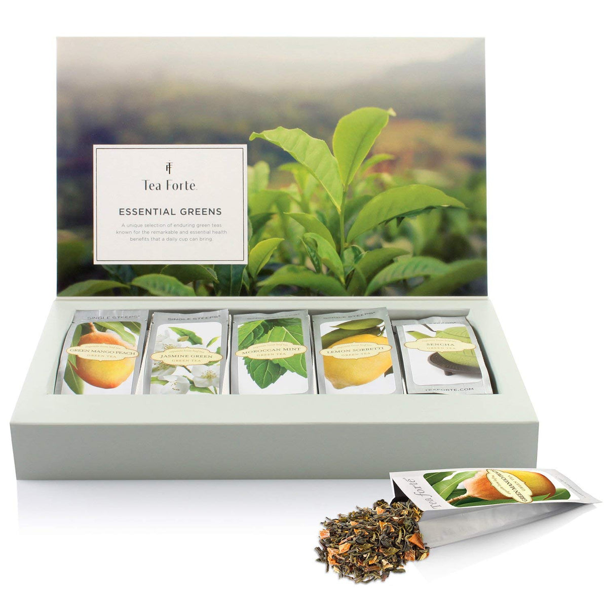 Tea Forte Single Steeps Tea Sampler, Green Tea, 15 Pouches