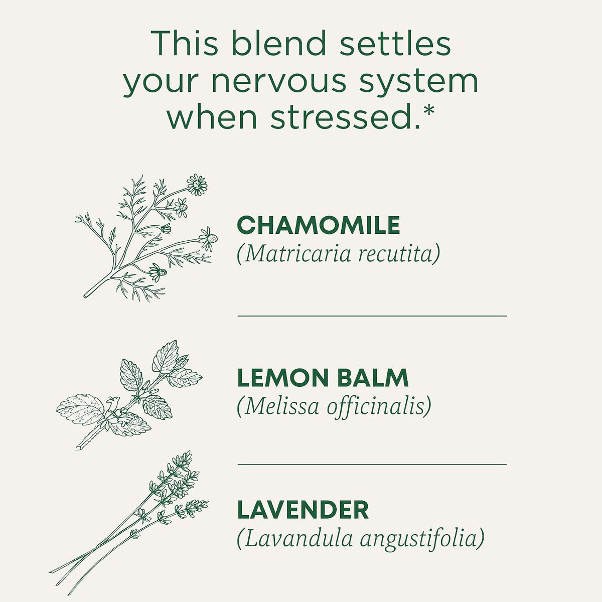 Traditional Medicinals Organic Chamomile & Lavender, 48 Tea Bags