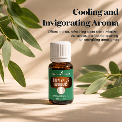 Lavender Essential Oil by Young Living, 15 Milliliters, Topical and Aromatic Use