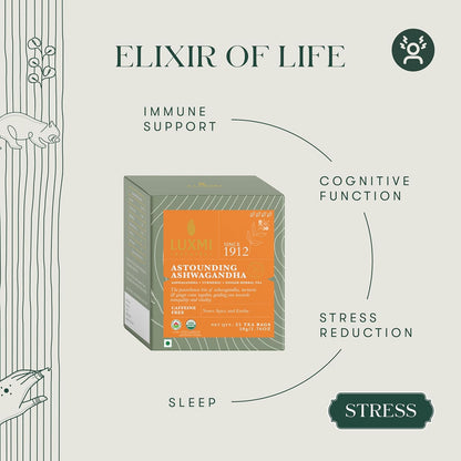 Luxmi Estates Ashwagandha Turmeric | Organic Adaptogen Tea with Ashwagandha, Turmeric, Ginger, Lemongrass, Licorice & Moringa, Caffeine-Free | 25 Biodegradable Tea Bags | 50g/1.76oz